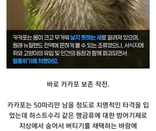 뉴질랜드 공무원들의 작전명 ＇앵무새＇.jpg