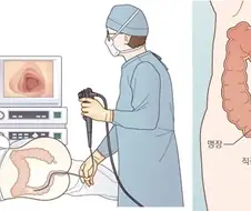 직장인