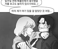 소전) 대형 이벤트 각색한 만화