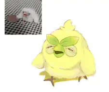 포켓몬 잠에서 막 깬 초로삐