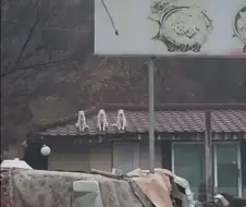 원피스) 구 삼대장 한장 요약