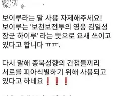 다시봐도 무서운 보이루 말뜻
