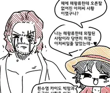 원피스)메스가키 열매를 먹은 루피