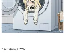 의외로 효과좋은 후피집 세탁법