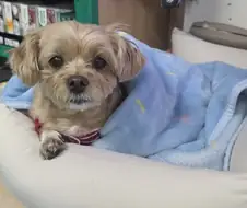 처음 오는 동네에서 로또사러 왔는데