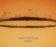 블리치 이러면 더 이해가 안가는데