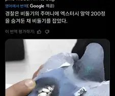 먹이주기가 금지되자 스스로 밥값을 벌려는 비둘기