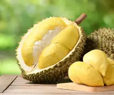 제삿상에 이거올리면 네크로맨서전직가능?