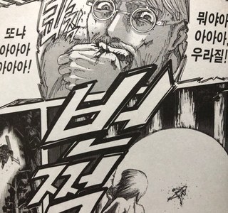 만화)정발본이 엿같은 상황.jpg