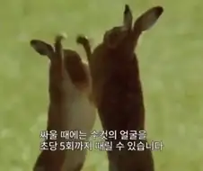 내 글 댓글에서 싸움이 일어난걸 본 심정