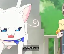 프리큐어)왕따가 된 고양이.manga