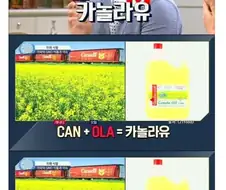 의외로 모르는 사람이 많다는 카놀라유 뜻