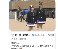 경마에 이 말의 표정은 잊을 수 없다 선수권