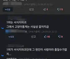 ???: 새 죽는 이유 2위가 빌딩이면 1위라도 줄여야하는거 아님?
