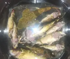 홍천 펜션 알아보다 잠깐 낚시함