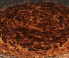장송의 프리렌) 먹어보고 싶은 생일 햄버그
