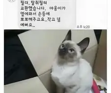 직업만족도 200%