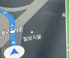 털보지물