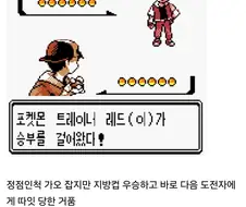 포켓몬) 챔피언 비교