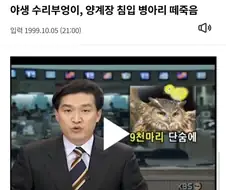 수십년이 지난 지금도 대책이 마련되지 않은 범죄행위