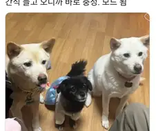 처음 보는 사람에게 바로 충성모드.jpg