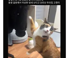 냄새 맡아서 외도를 발견한 상황