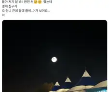 "아따 달이 겁나게 밝아부러~"