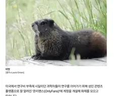 온리팬스로 학계를 일으킨 과학자들