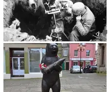 곰이 전쟁이 참여해서 포탄을 나른다고? 만화 적당히 좀 봐라