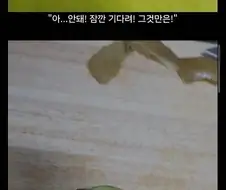 사로잡은 키위들을 철저하게 능욕하는 디시인.jpg