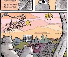 어딘가 철학적인 라쿤 만화.manga