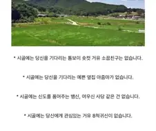 의외로 실제 시골에 존재하지 않는 것들