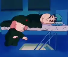 애니의 흔한 음란한 돼지