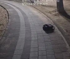 잼민이 아들들 특