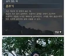 붉은사막) 드디어 올라온 그 템플릿