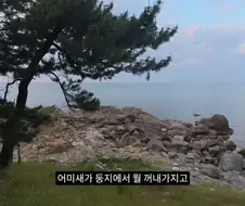 수리부엉이의 좋은 단백질 공급원