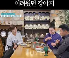 강형욱이 왜 문제인지 분석 못한 강아지....jpg