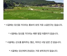 시골에 살다보니 이건 절때 없음