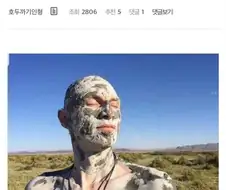 귤박스 맨 밑에 깔린 귤