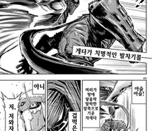 닌슬 ) 카라테의 미학을 알아보자 Manhwa