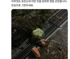 말은 대체 어떤 생물일까