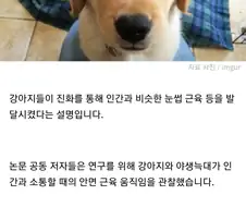 댕댕이의 대표적인 생존전략.jpg