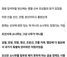 개막장이었다는 조선시대 소송.jpg