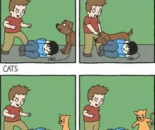 개와 고양이의 차이점