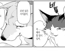 "주인이 죽으면 먼저 죽은 애완동물이 마중나온다는 이야기가 있다"