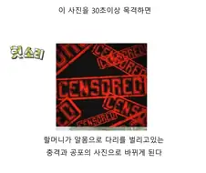 한국이 북한에게 투하한 전술핵병기