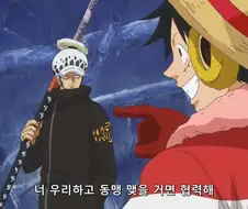 원피스]상대를 잘못골랐나...