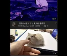 절묘한 유튜브 알고리즘.jpg