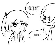 우리집에 고양이 보러 오라는 만화.manga