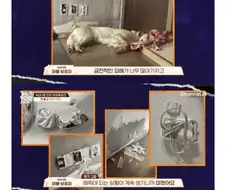 인터넷에 잘못 알려진 리트리버
